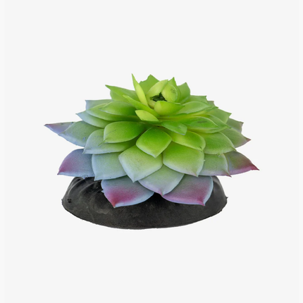 Zugo Succulent Plant Aquarium Ornament 10cm