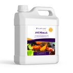 1L