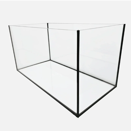 Premium Polished Glass Aquariums – Black Silicone