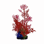 PP7818
