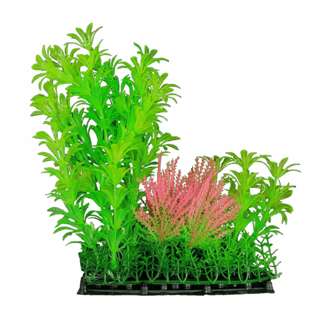 Plastic Plant
