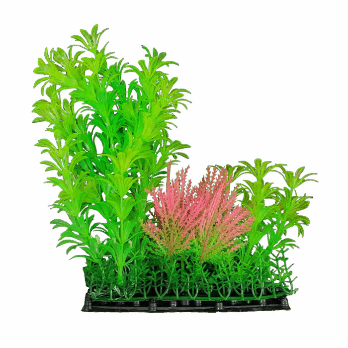 Plastic Plant
