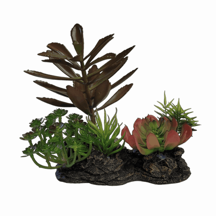 Plastic Plant