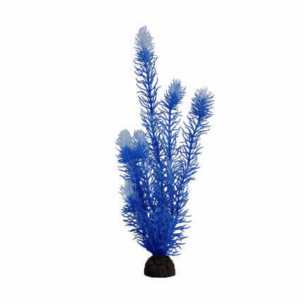 Plastic Plant