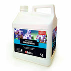 5L