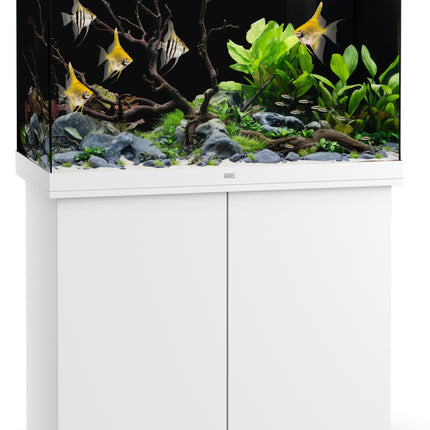 Juwel Rio 290 Aquarium & White Cabinet – Modern Elegance